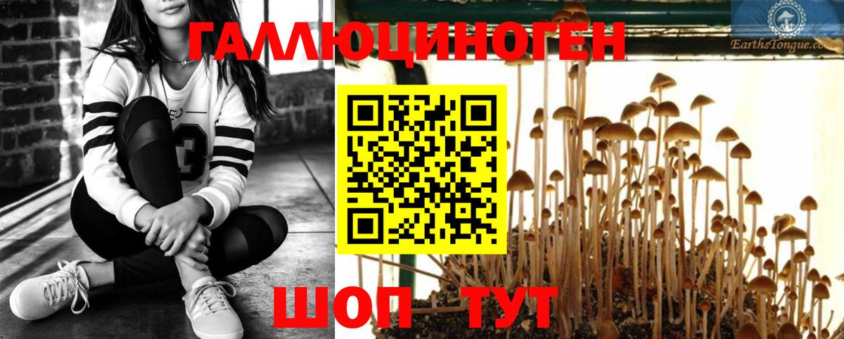Галлюциногенные грибы прущие грибы  Галлюциногенные грибы мицелий  Вход с VPN  Новочебоксарск 